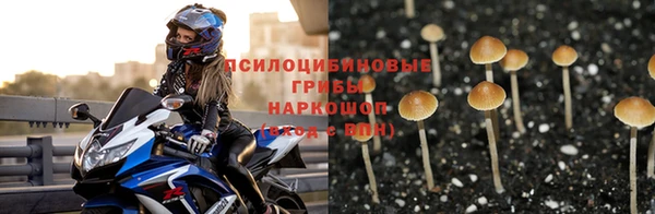 мдма Нефтекумск