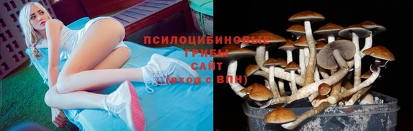 дурь Новодвинск