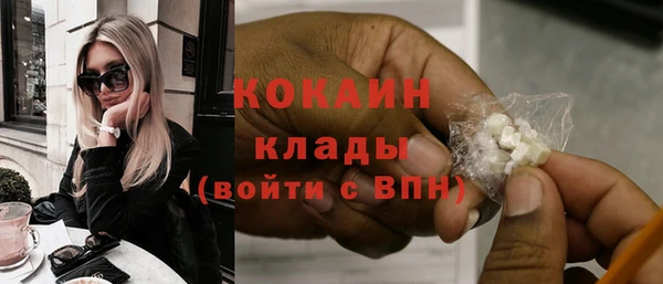 дурь Новодвинск