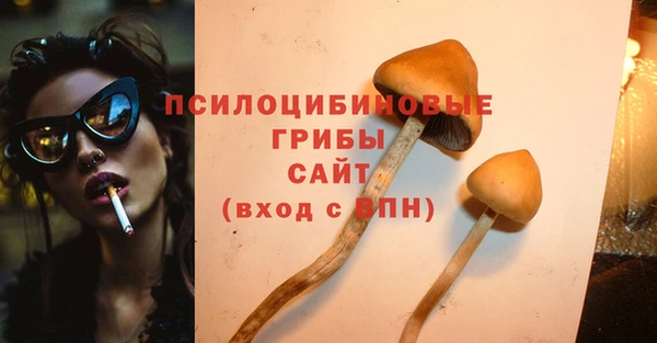 дурь Новодвинск