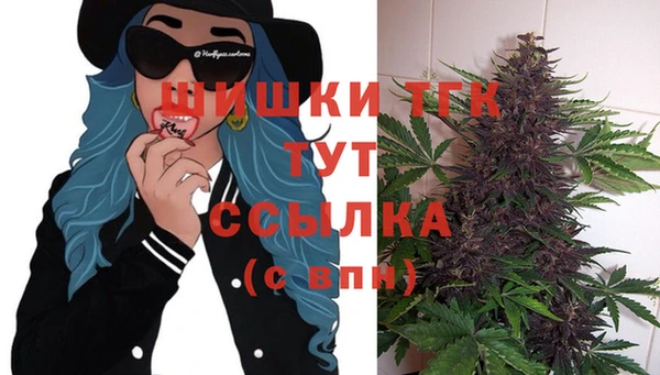 дурь Новодвинск