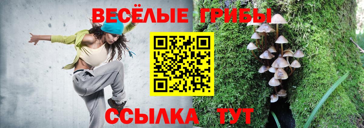 Псилоцибиновые грибы Cubensis  Галлюциногенные грибы мухоморы  Ливны  Вход с VPN 